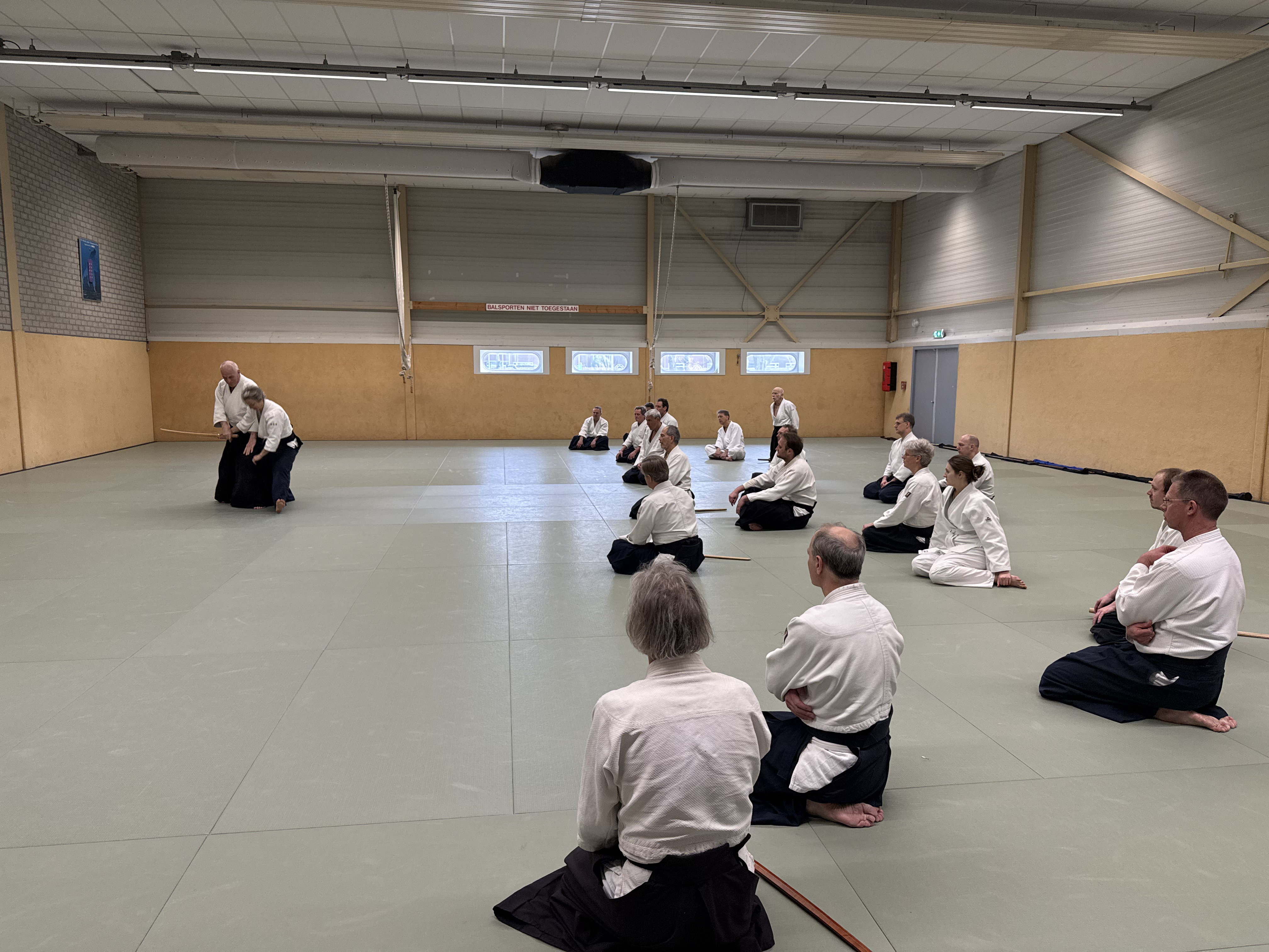 Aikido training Haarlem