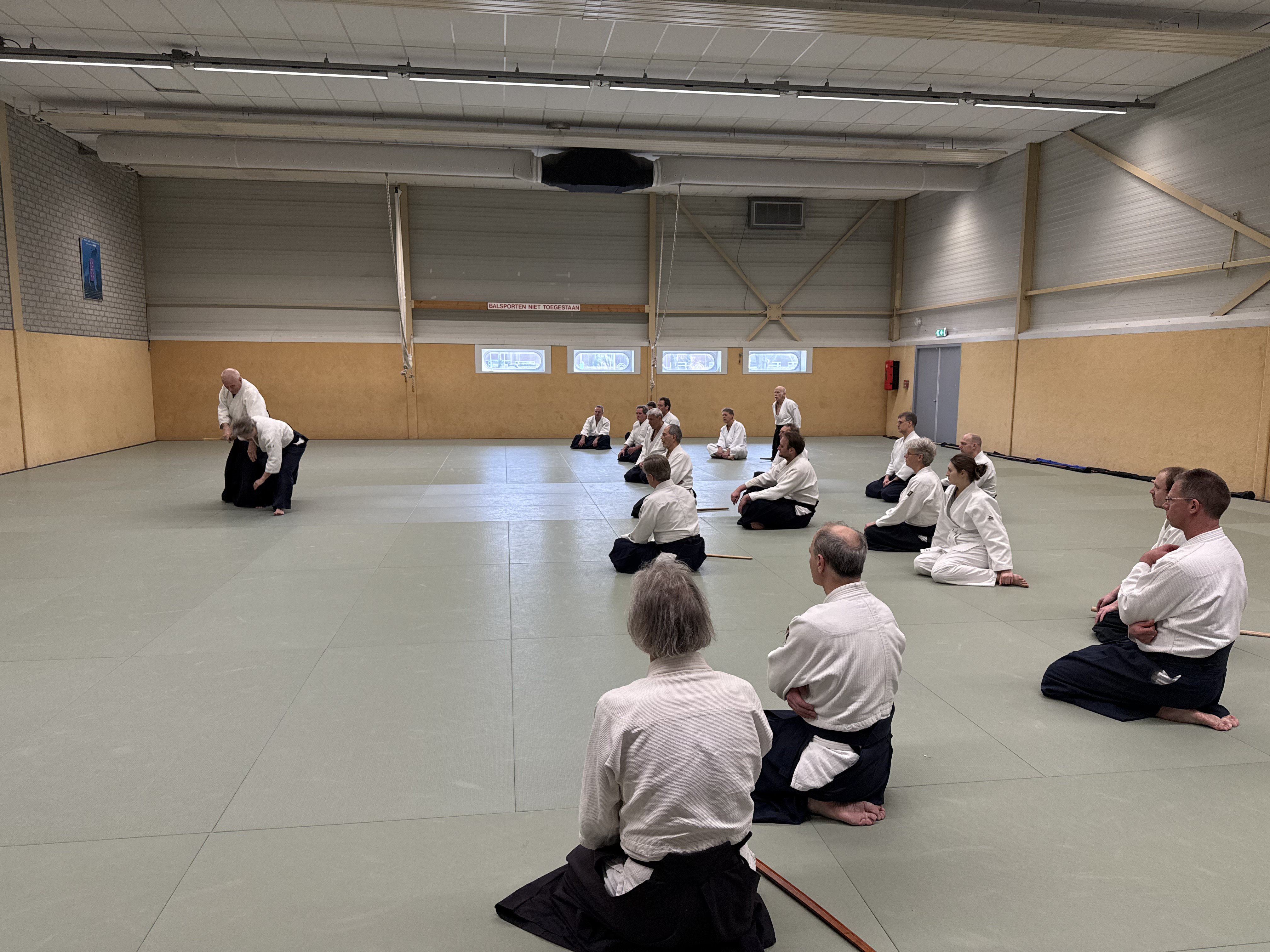 Aikido training Haarlem
