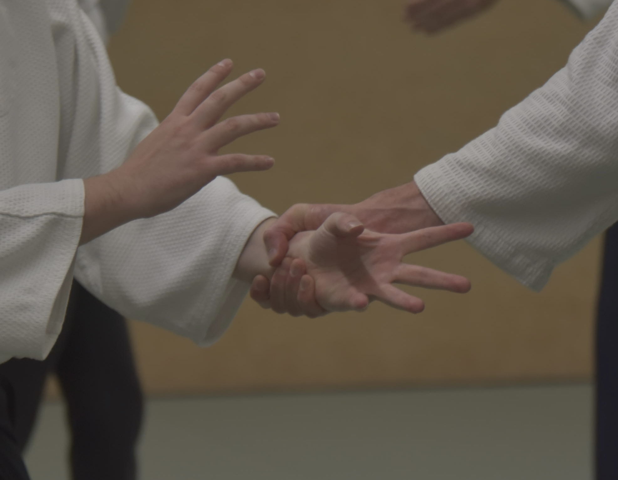 Aikido training Haarlem