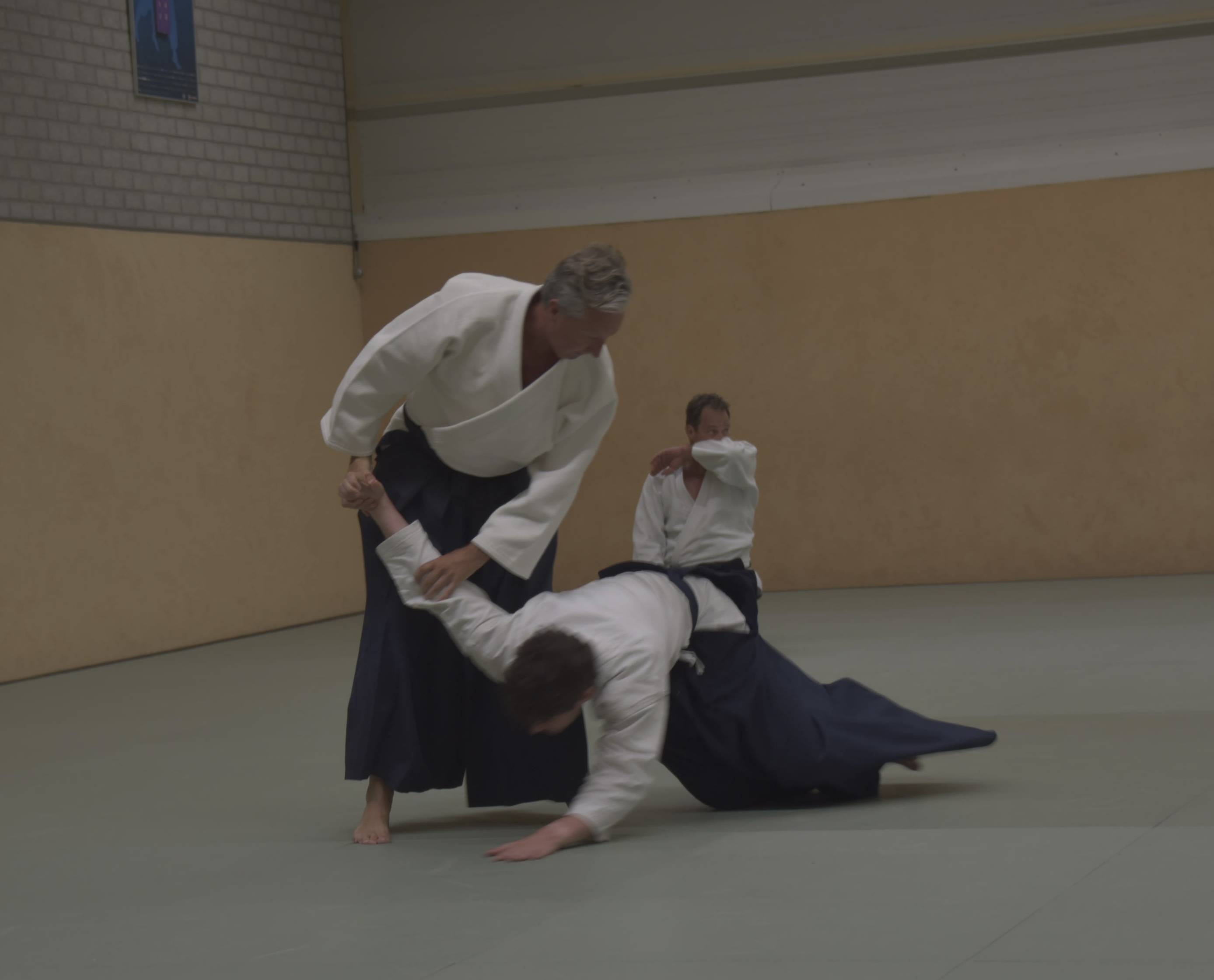Aikido training Haarlem
