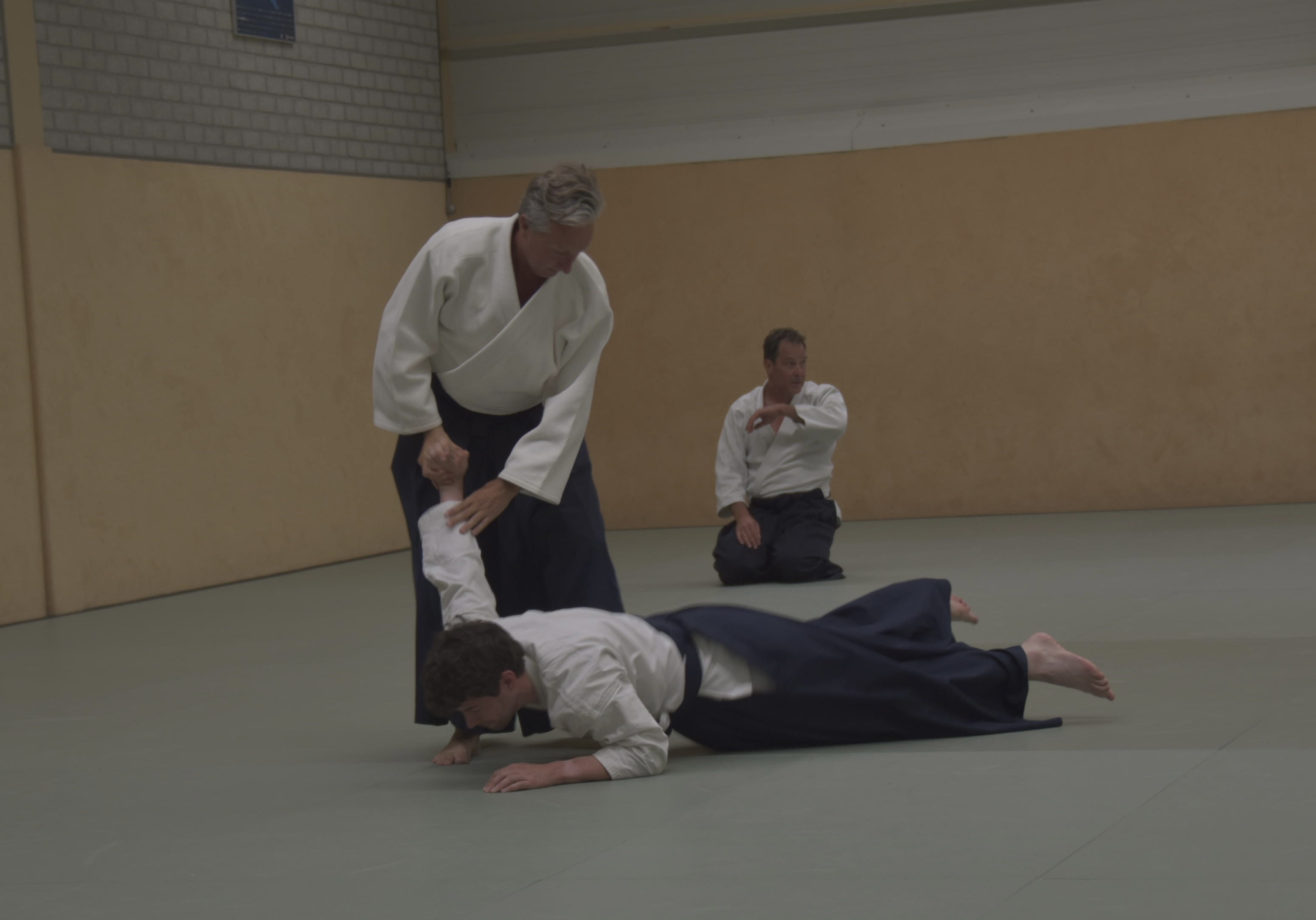 Aikido training Haarlem